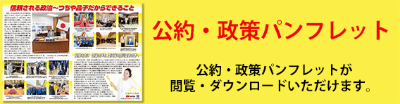 公約パンフレット